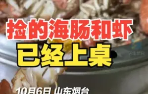 捡的海肠和虾已经上桌“免费的更好吃”