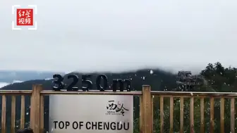 成都2020第一场雪下啦！西岭雪山下雪已变成银装素裹的世界