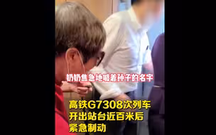 高铁突然紧急制动！老人哭喊：我孙女掉下去了