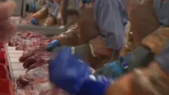 德肉联厂7000隔离工人逃回老家 德国开启紧急跨境追踪