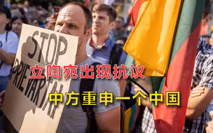 玩火自焚！立陶宛国内出现大规模抗议，中方重申一个中国不容歪曲