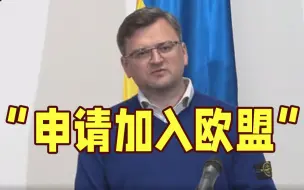 乌外长呼吁欧盟给予乌克兰“候选国”地位
