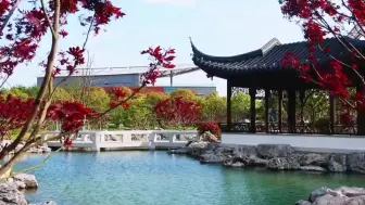 春光明媚，来邂逅滴水湖南岛吧