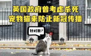 英国政府曾考虑杀死全国宠物猫来防止新冠传播，捕鼠大臣拉里：针对我？