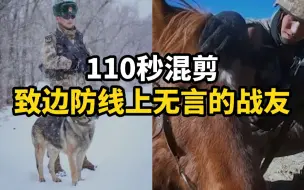 【110秒混剪】致边防线上无言的战友！