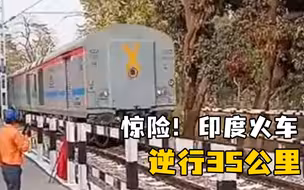 印度火车为避免撞牛急刹车， 结果逆行了35公里