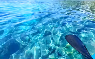 “这是你向往的海吗？这个夏天去看海吧，让海风吹散所有烦恼～”