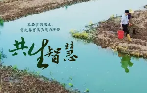 百姓话思想｜“稻虾鳖”共住一个家实现一田三收