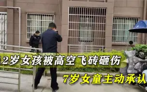 12岁女孩被高空飞砖砸进ICU，7岁女童主动承认，医药费该谁来赔？