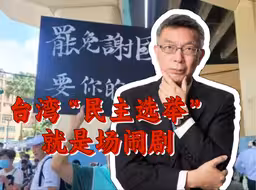 台湾罢免案遍地开花 “民主选举“不该是儿戏