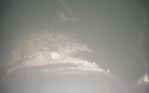 “北溪”管道遭破坏处水下实景首次曝光