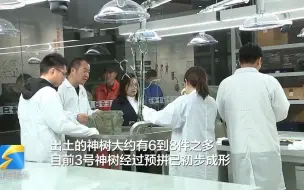 三星堆3号神树显初形 树顶现神秘人首鸟身像