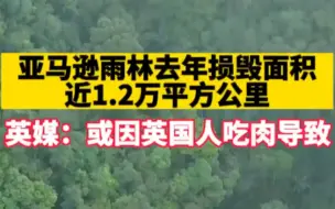 亚马逊雨林去年损毁面积近1.2万平方公里，英媒：或因英国人吃肉导致