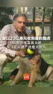 曾以23亿美元收购捷豹路虎 86岁印度富翁去世 8.4亿元遗产送爱犬仆人
