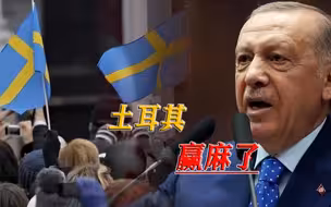 瑞典态度突然转变，答应土耳其所有条件，只为尽快加入北约