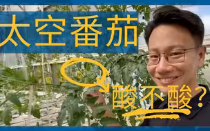 VLOG：吃了太空番茄会怎么样？