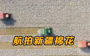 航拍新疆棉花