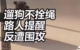 舞蹈老师遛狗不拴绳路人提醒反遭围攻，舞馆称无辜盼网暴停止