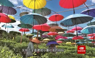 #国际学者点赞三中全会 华东师范大学教授马奥尼：#中国在净化环境方面取得巨大进步