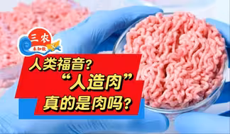 三农未知数丨人类福音？“人造肉”真的是肉吗？