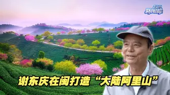 走过路过不要错过，台农谢东庆在福建打造“大陆阿里山”