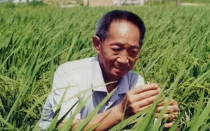 袁隆平院士去世消息不实，目前在医院接受治疗