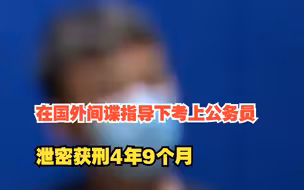 90后“月光族”在国外间谍指导下考上公务员，泄密获刑4年9个月