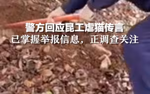 警方回应昆工虐猫传言：已掌握举报信息，正在调查关注