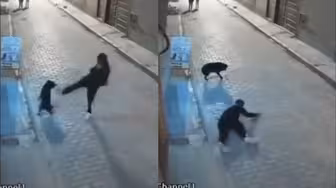实拍：南美一“路怒”男子飞踹宠物狗 不慎脚滑脸重重砸在地上