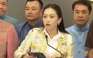 泰总理：将切实解决电诈问题