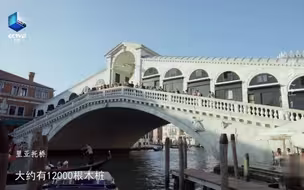 威尼斯城下有1000多万根木桩