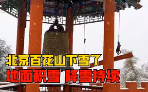 北京百花山下雪了：地面白雪皑皑，树木银装素裹