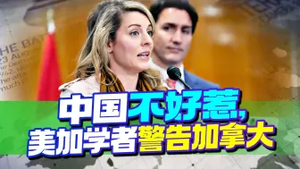 中国不好惹，美加学者警告加拿大，无脑跟随美国注定没有好下场