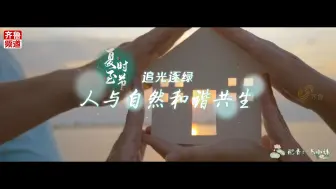 向阳而生 万物方盛 等一场日出 迎今日夏至