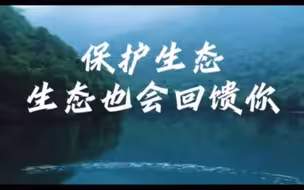 沿着总书记的足迹·浙江篇：保护生态 生态也会回馈你