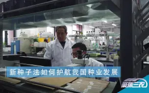 聚焦三农丨新种子法如何护航我国种业发展