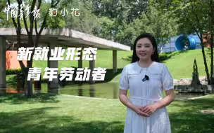 新就业形态青年劳动者