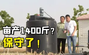 聚焦三农丨亩产1400斤？保守了！