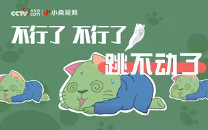 【小央剧场】为什么人人都在刘畊宏？我的猫都不跑酷了改健身了！