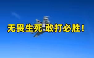无畏生死 敢打必胜！庆祝人民空军成立74周年