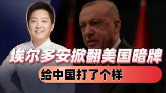 连夜发动军事打击，掀翻美国暗牌，埃尔多安发飙，给中国打了个样