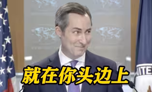 一只蟑螂打断了美国国务院简报会 发言人：它真的好大！