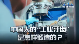 精度公差0.05毫米！中国人的“工业牙齿”是怎样锻造的？