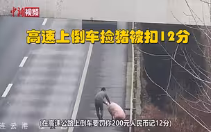 高速上倒车为捡猪 货车司机被扣12分