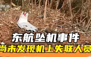 东航坠机事件 | 发现MU5735残骸和碎片 目前尚未发现机上失联人员