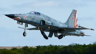 美军F-5战机坠毁,飞行员弹射坠海后被救起