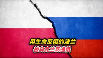 用生命反俄的波兰，被乌克兰骂通俄