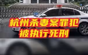 杭州杀妻案罪犯被执行死刑