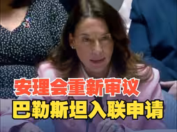联合国安理会开始讨论接纳巴勒斯坦为联合国正式成员