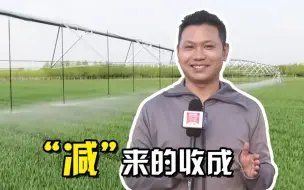 聚焦三农丨“减”来的收成